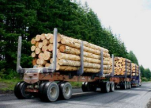 log truck 1-134-167